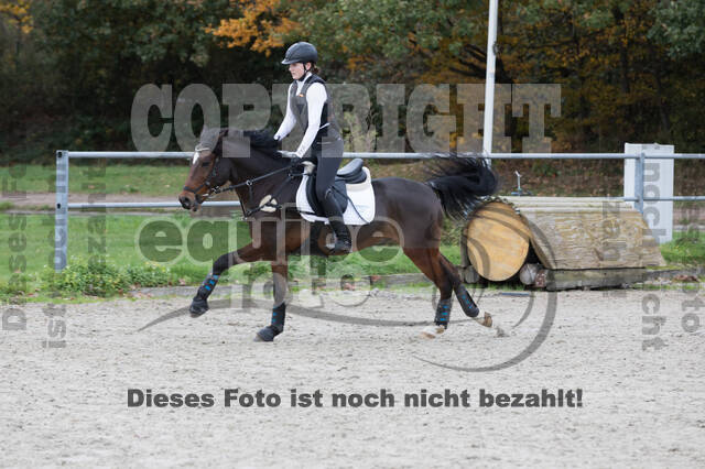 IGV Lehrgang der Sieger der Cups mit Frank Ostholt