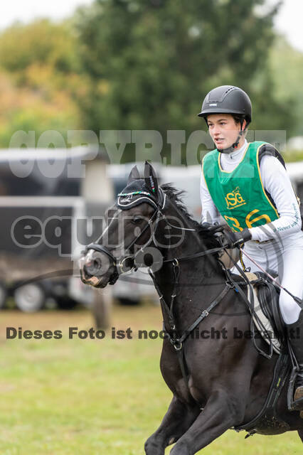 Vielseitigkeit RSV Wesel Obrighoven (26.+27.09.2020)