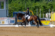 Westerstede Horse Trials 2021