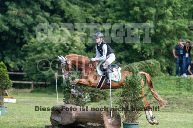 Goldene Schärpe 2021 - Ponys