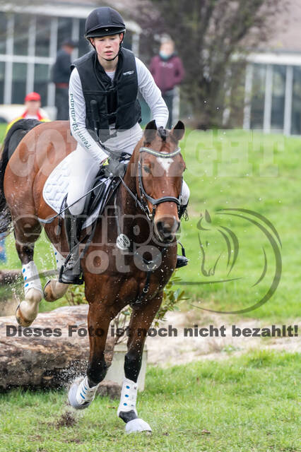 Goldene Schärpe 2020 - Pferde