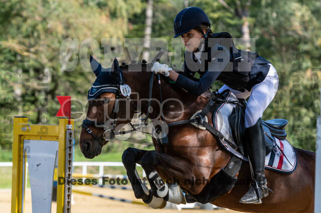 RFV Dinslaken-Hiesfeld (Herbstturnier)