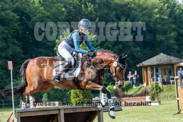 Goldene Schärpe 2021 - Ponys