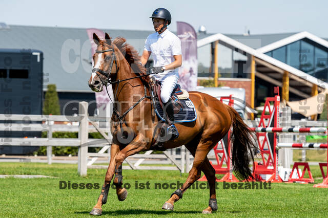 Kronenberg - De Peelbergen (August 2020)