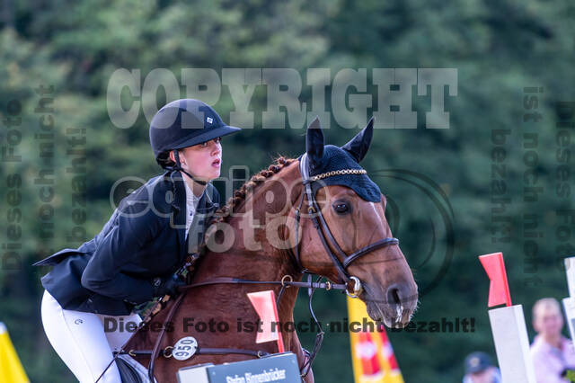 RFV Dinslaken-Hiesfeld (Herbstturnier)