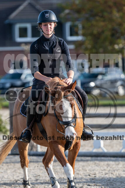 IGV Lehrgang der Sieger der Cups mit Frank Ostholt
