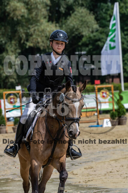 Goldene Schärpe 2021 - Ponys