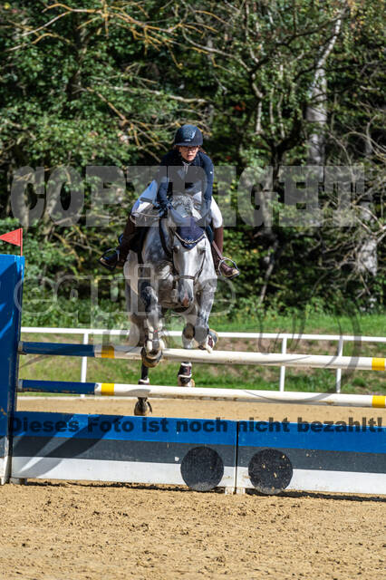 RFV Dinslaken-Hiesfeld (Herbstturnier)