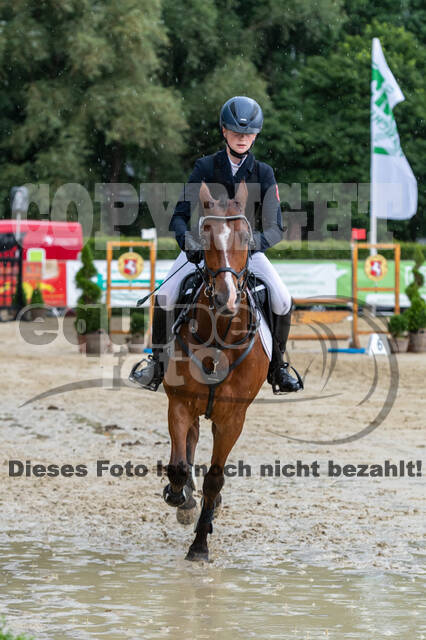 Goldene Schärpe 2021 - Ponys