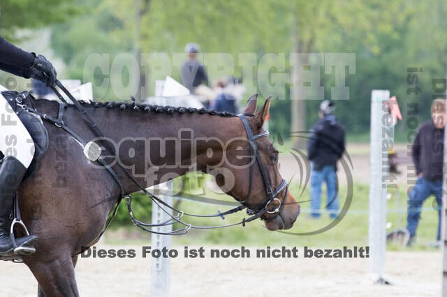 Vielseitigkeitsturnier RuFV Rheurdt