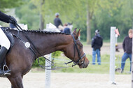 Vielseitigkeitsturnier RuFV Rheurdt