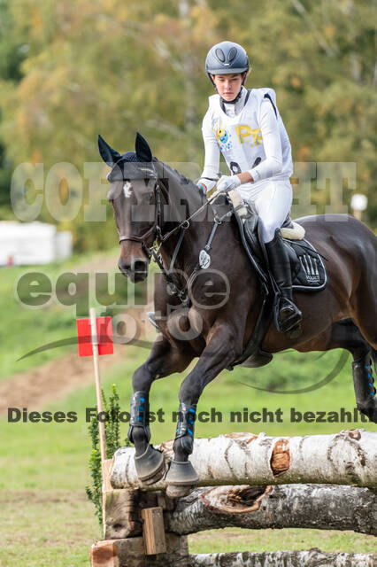 Vielseitigkeit RSV Wesel Obrighoven (26.+27.09.2020)