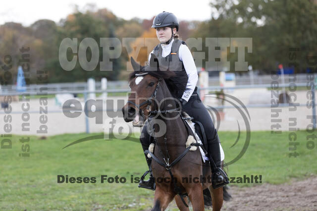 IGV Lehrgang der Sieger der Cups mit Frank Ostholt