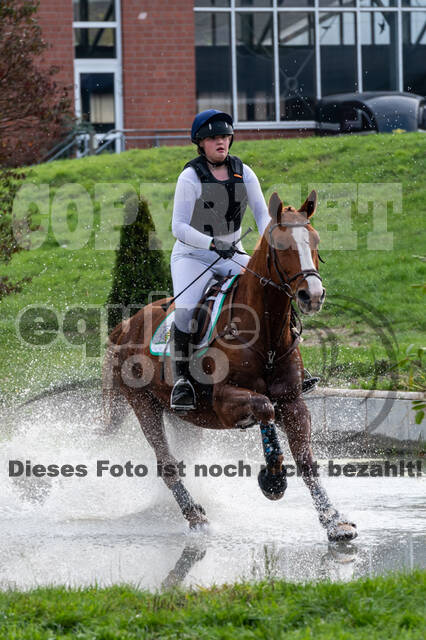 Goldene Schärpe 2020 - Pferde