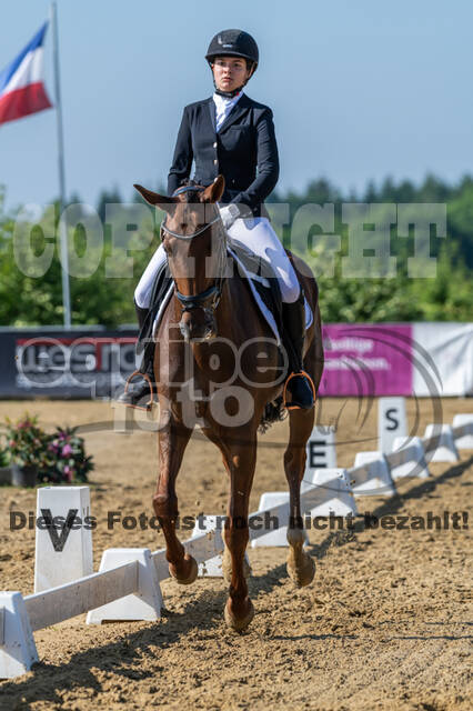 Westerstede Horse Trials 2021