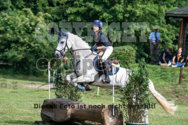 Goldene Schärpe 2021 - Ponys