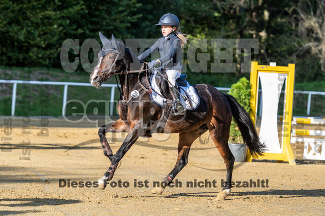 RFV Dinslaken-Hiesfeld (Herbstturnier)