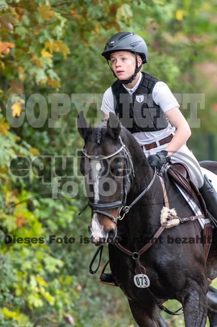 Goldene Schärpe 2020 - Pferde