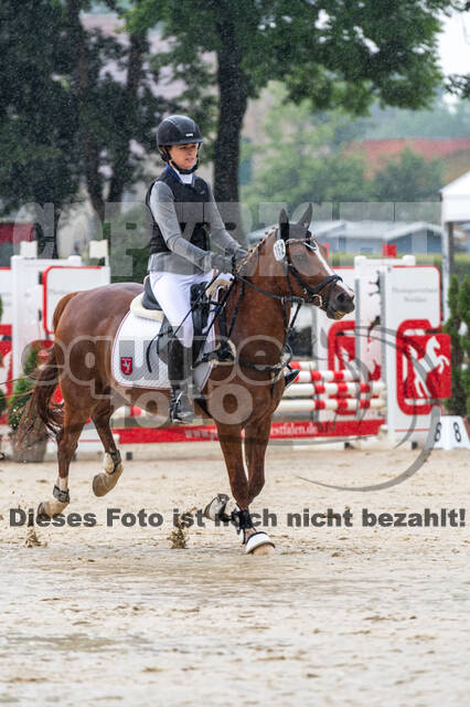 Goldene Schärpe 2021 - Ponys