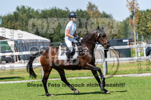 Kronenberg - De Peelbergen (August 2020)