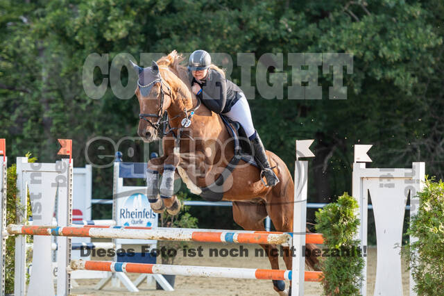 RFV Dinslaken-Hiesfeld (Herbstturnier)
