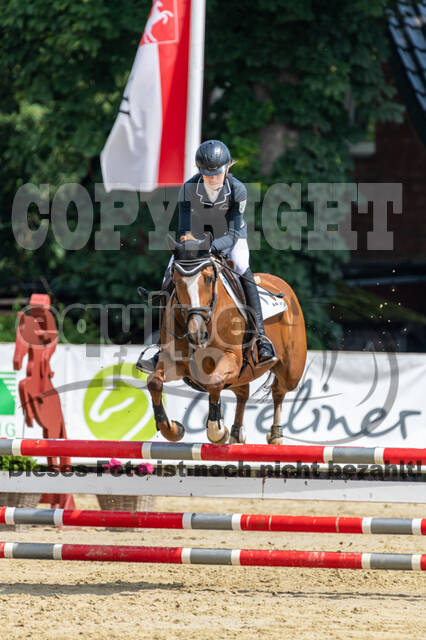 Goldene Schärpe 2021 - Ponys