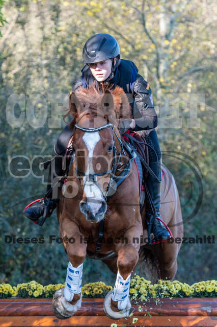 Vielseitigkeitslehrgang mit Jürg Kurbel (9.+10.11.2019)