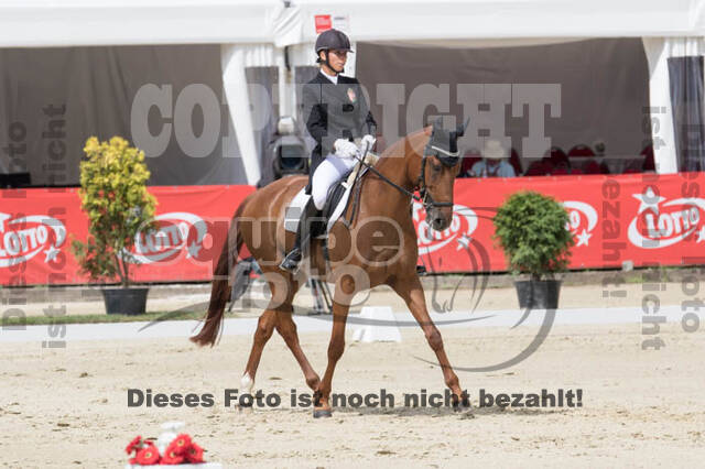 FEI European Championship Eventing 2017