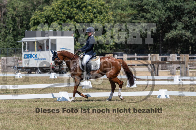 Kronenberg - De Peelbergen (August 2020)