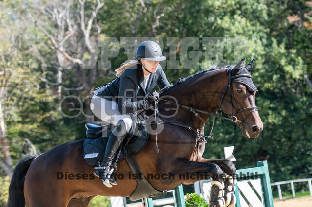 RFV Dinslaken-Hiesfeld (Herbstturnier)