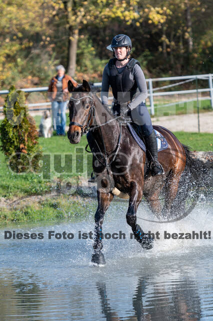 IGV Lehrgang der Sieger der Cups mit Frank Ostholt