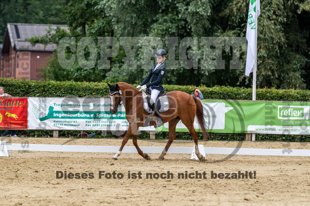 Goldene Schärpe 2021 - Ponys