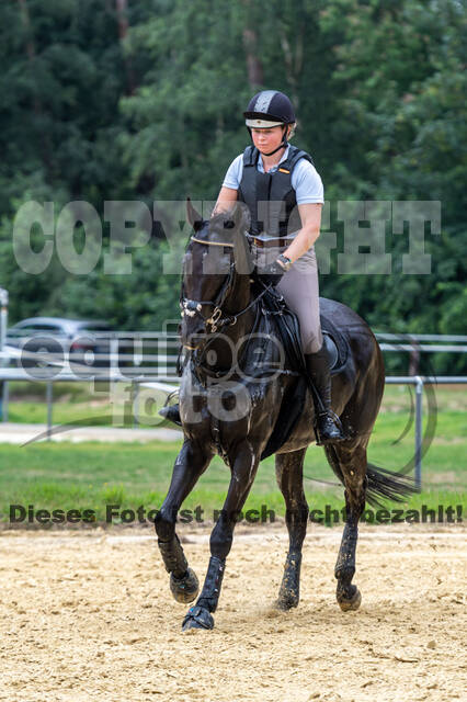 Hunter Geländetraining 10.07.2021 (Sonsbeck)