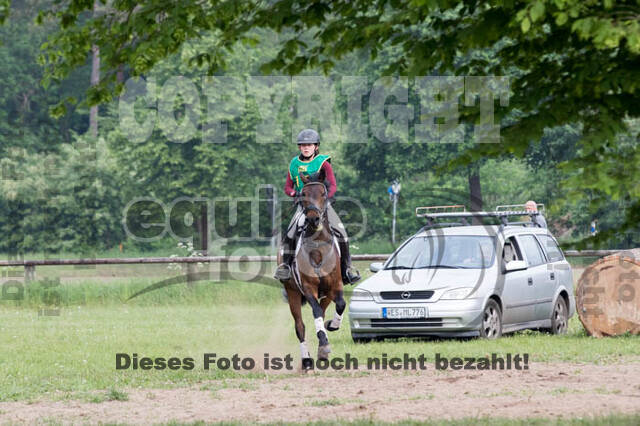 Vielseitigkeitsturnier ZRFV von Lützow Hamminkeln