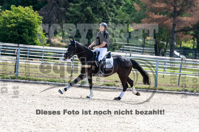 Late-Entry-Vielseitigkeit Langenfeld (11.+13./14.06.2020)