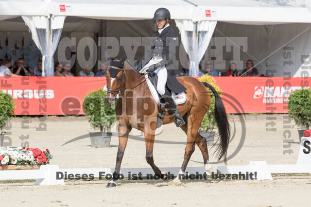 FEI European Championship Eventing 2017