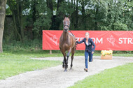 FEI European Championship Eventing 2017