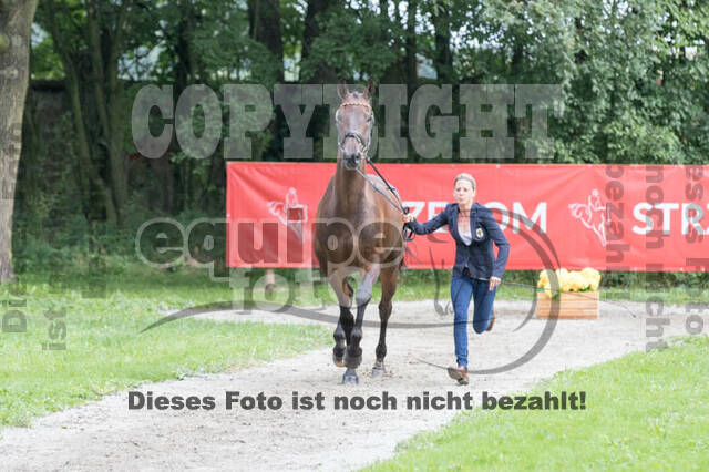 FEI European Championship Eventing 2017