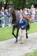 FEI European Championship