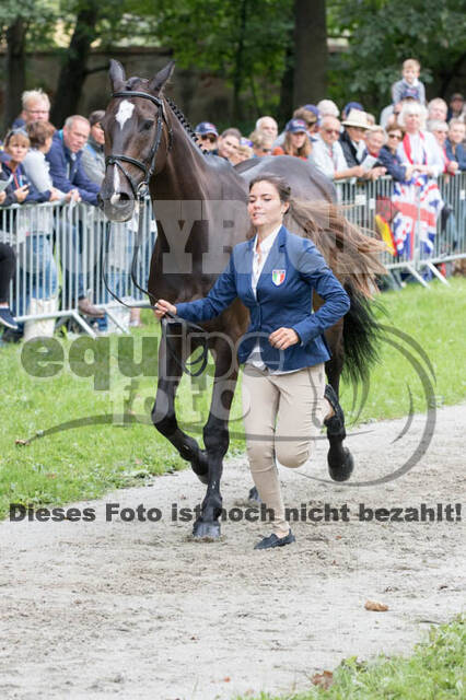 FEI European Championship