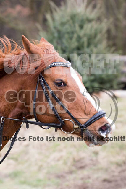 Geländetraining RSV St. Hubertus Wesel Obrighoven