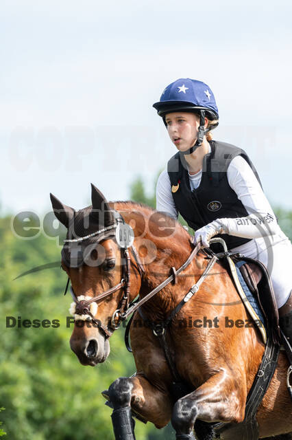 Goldene Schärpe 2021 - Ponys