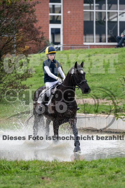 Goldene Schärpe 2020 - Pferde