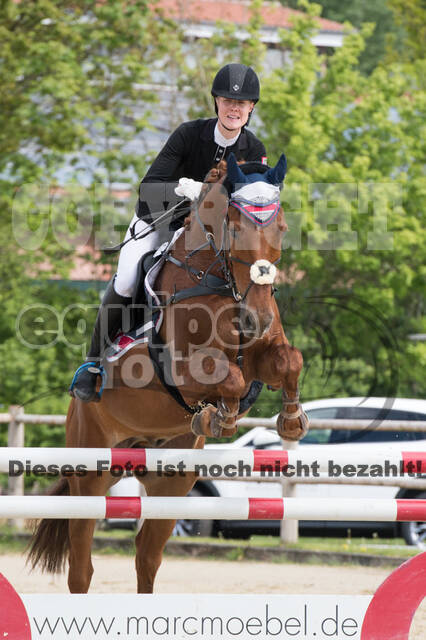 Sterne über Münster 2019 - CCI***S