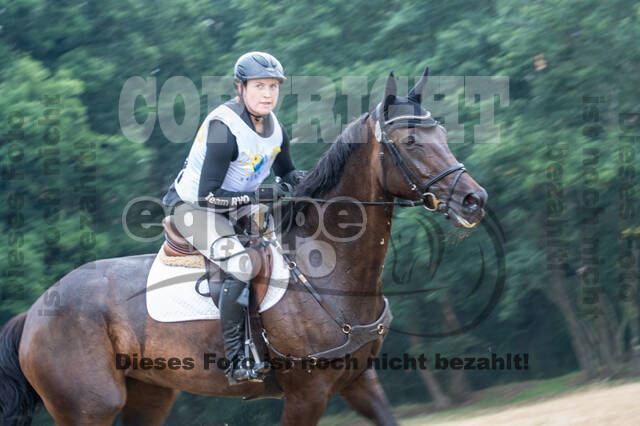 Late-Entry Vielseitigkeit Hamminkeln/Wesel (01.+02.08.2020)