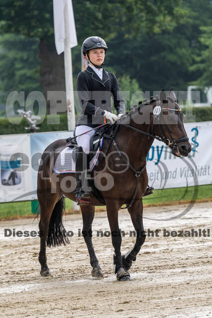 Goldene Schärpe 2021 - Ponys