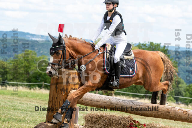 Bonn-Rodderberg Late-Entry-Vielseitigkeit (30.06.2020)