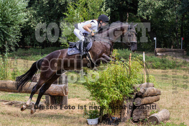 Late-Entry Vielseitigkeit Hamminkeln/Wesel (01.+02.08.2020)