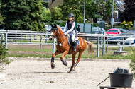 Late-Entry-Vielseitigkeit Langenfeld (06.+07.07.2020)
