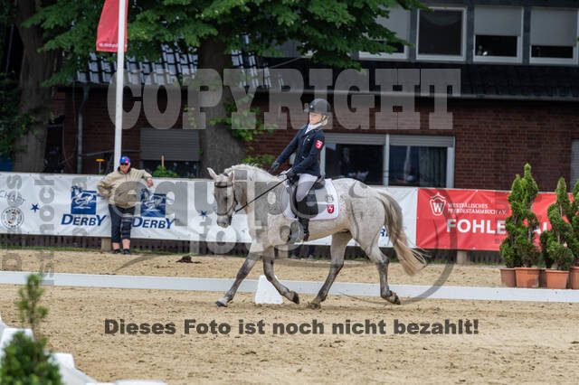 Goldene Schärpe 2021 - Ponys